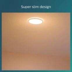 Philips Superslim Indoor Luminaire Flush To Ceiling Light -Cooking and dining Shop 1122547 R Z003A