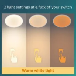 Philips Superslim Indoor Luminaire Flush To Ceiling Light -Cooking and dining Shop 1122547 R Z004A