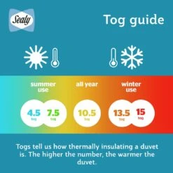 Sealy Anti Allergy Hollowfibre 10.5Tog Duvet - Single -Cooking and dining Shop 1156623 R Z007A