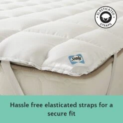 Sealy Anti Allergy Hollowfibre Mattress Topper - Double -Cooking and dining Shop 1156702 R Z005A