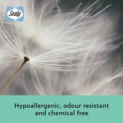 Sealy Anti Allergy Hollowfibre Mattress Topper - Double -Cooking and dining Shop 1156702 R Z007A