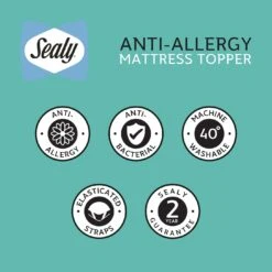 Sealy Anti Allergy Hollowfibre Mattress Topper - Double -Cooking and dining Shop 1156702 R Z009A