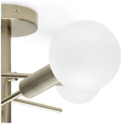 Habitat Globe Ribbed Metal Bathroom Ceiling Light - Brass -Cooking and dining Shop 1233711 R Z002A