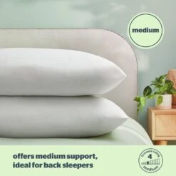 Silentnight Anti-Allergy Medium/ Soft Pillow - 2 Pack -Cooking and dining Shop 1274299 R Z005A