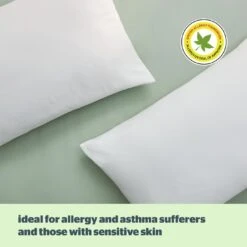 Silentnight Anti-Allergy Medium/ Soft Pillow - 2 Pack -Cooking and dining Shop 1274299 R Z006A