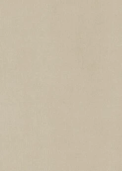 Habitat Alexis Velvet Cocktail Chair - Cream 11 Habitat Alexis Velvet Cocktail Chair - Cream -Cooking and dining Shop 1341294 R B001