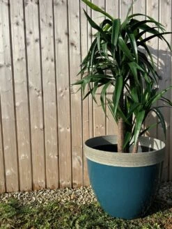 Terrastyle 54cm Plastic Blue Planter -Cooking and dining Shop 1759673 R Z003A