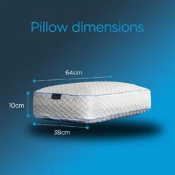 Snuggledown Bliss Cool Touch Memory Foam Firm Pillow -Cooking and dining Shop 2253518 R Z008A