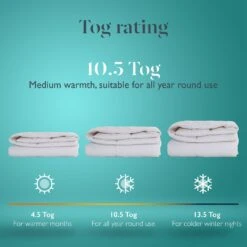 Earthkind Luxury Feather & Down 10.5 Tog Duvet - Single 15 Earthkind Luxury Feather & Down 10.5 Tog Duvet - Single -Cooking and dining Shop 2253721 R Z007A