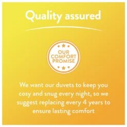 Slumberdown Summer Non Allergic 4.5 Tog Duvet - Single -Cooking and dining Shop 2842905 R Z011A