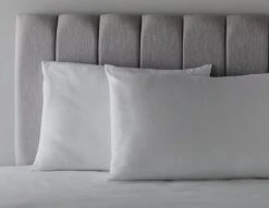 Habitat Anti-Allergy Firm Pillow - 2 Pack -Cooking and dining Shop 2910765 R Z004C