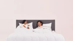 Emma Sleep All Seasons Anti Allergy 10.5 Tog Duvet - Double 6 Emma Sleep All Seasons Anti Allergy 10.5 Tog Duvet - Double -Cooking and dining Shop 2996758 R Z005A