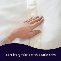 Dreamland Ivory Supersoft Dual Control Overblanket-King -Cooking and dining Shop 4463973 R Z005A