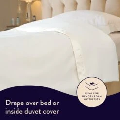 Dreamland Ivory Supersoft Dual Control Overblanket-King -Cooking and dining Shop 4463973 R Z006A