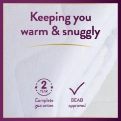 Slumberdown Perfectly Warm Luxury Electric Blanket-King Dual -Cooking and dining Shop 4746731 R Z011A