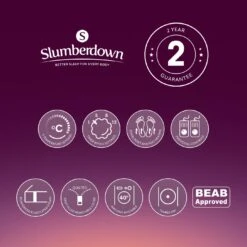 Slumberdown Perfectly Warm Luxury Electric Blanket-King Dual -Cooking and dining Shop 4746731 R Z013A