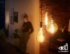 Philips LED Filament E27 6.5W (40W) Dim Giant Bulb - Gold 7 Philips LED Filament E27 6.5W (40W) Dim Giant Bulb - Gold -Cooking and dining Shop 9193798 R Z004A