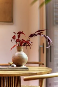 Habitat Mango Wood Vase - Natural -Cooking and dining Shop 9573662 R Z005C